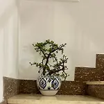 Macrame *