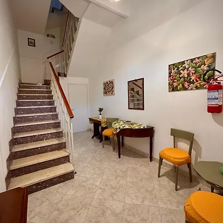 Macrame アヴォラ